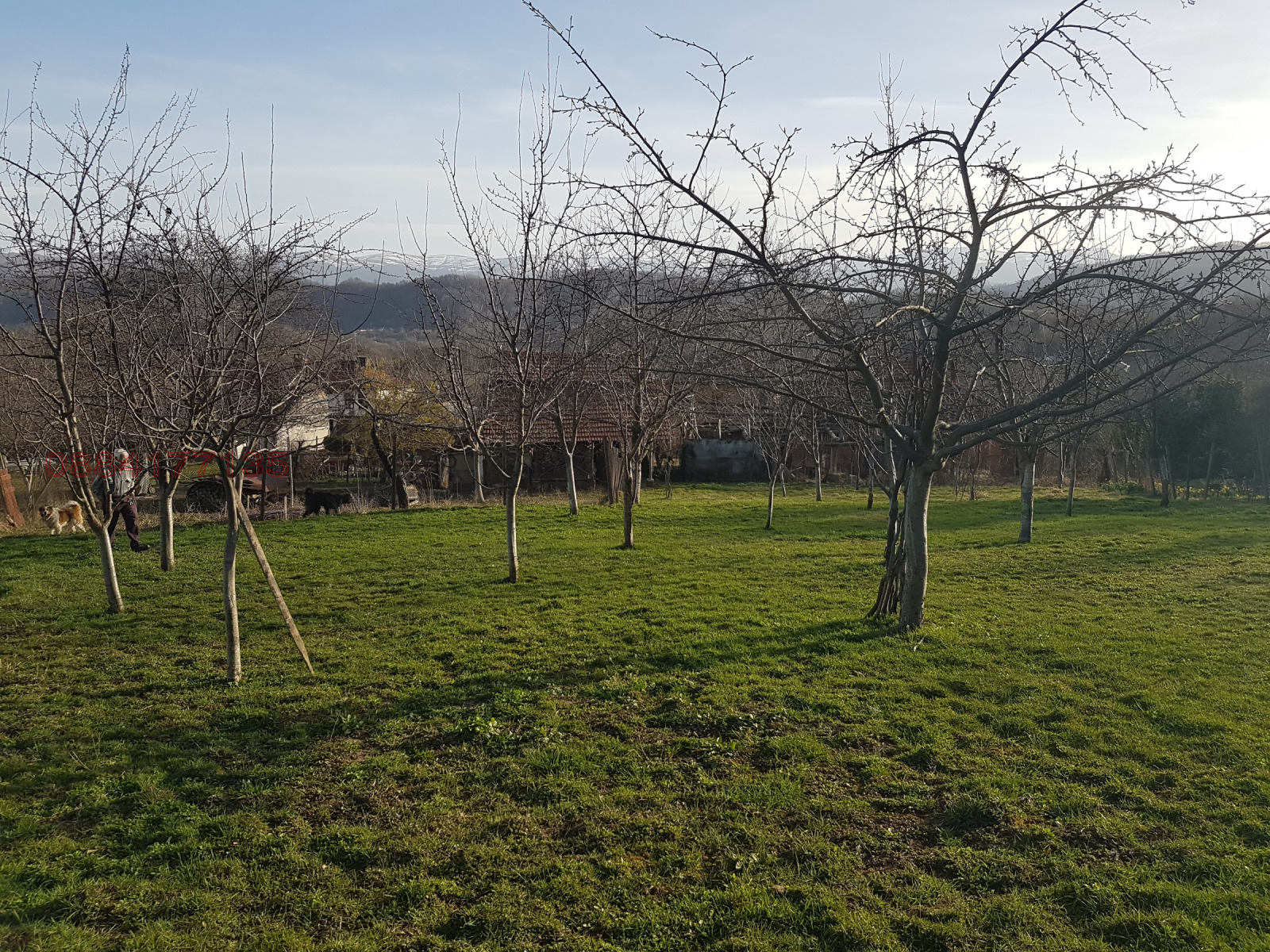 ������� ���� | Imot.bg � ����������� 6