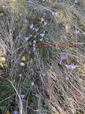 ������� ������ | Imot.bg � ����� ������ 9