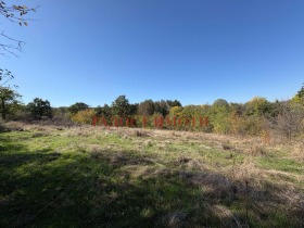 ������� ������ | Imot.bg � ����� ������ 8