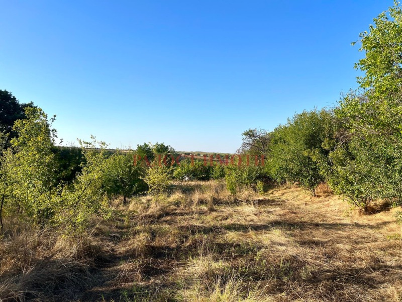 Na prodej  Spiknutí oblast Plovdiv , Dragojnovo , 735 m2 | 55437425 - obraz [2]