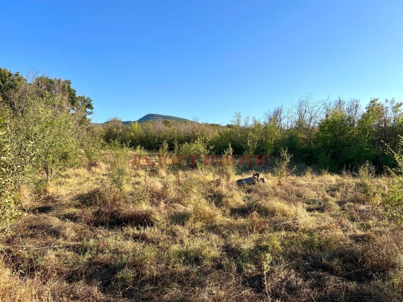 Na prodej  Spiknutí oblast Plovdiv , Dragojnovo , 735 m2 | 55437425