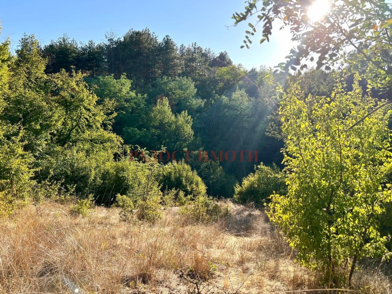 Na prodej  Spiknutí oblast Plovdiv , Dragojnovo , 735 m2 | 55437425 - obraz [3]