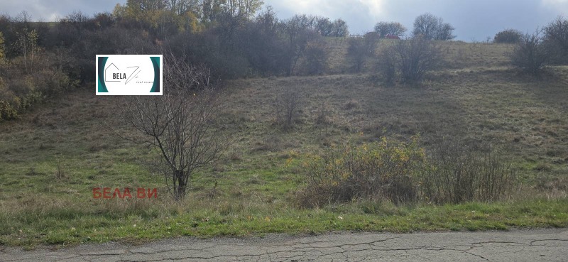 Продава ЗЕМЕДЕЛСКА ЗЕМЯ, с. Копаница, област Перник