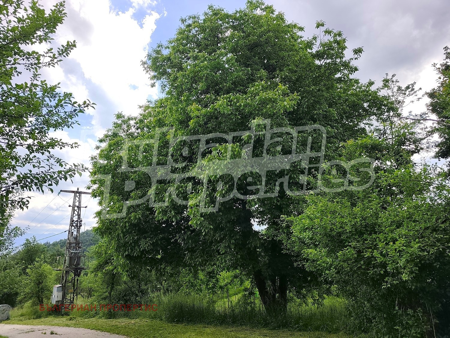 Продава ПАРЦЕЛ, с. Кръвеник, област Габрово, снимка 2 - Парцели - 54967439