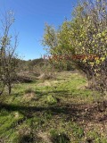 Продава ПАРЦЕЛ, с. Драгойново, област Пловдив, снимка 6