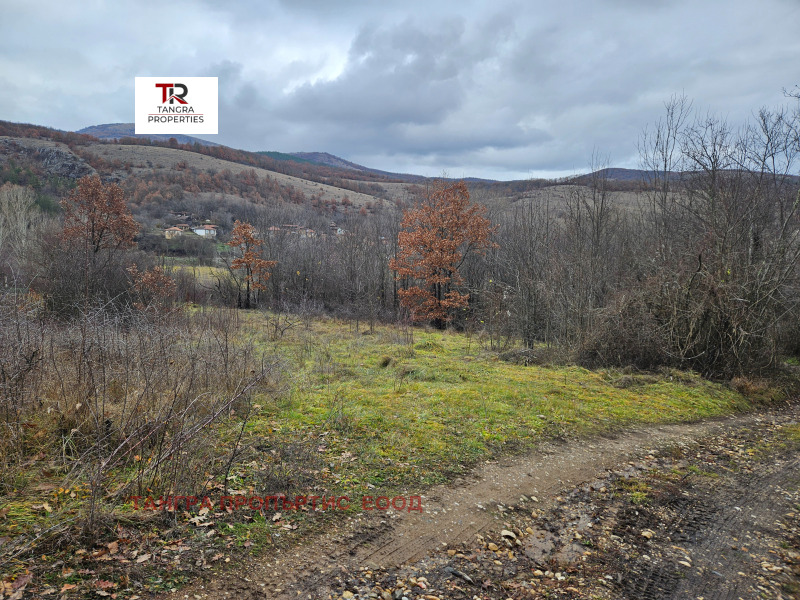 Na prodej  Dům oblast Pernik , Peštera , 50 m2 | 24141470 - obraz [2]