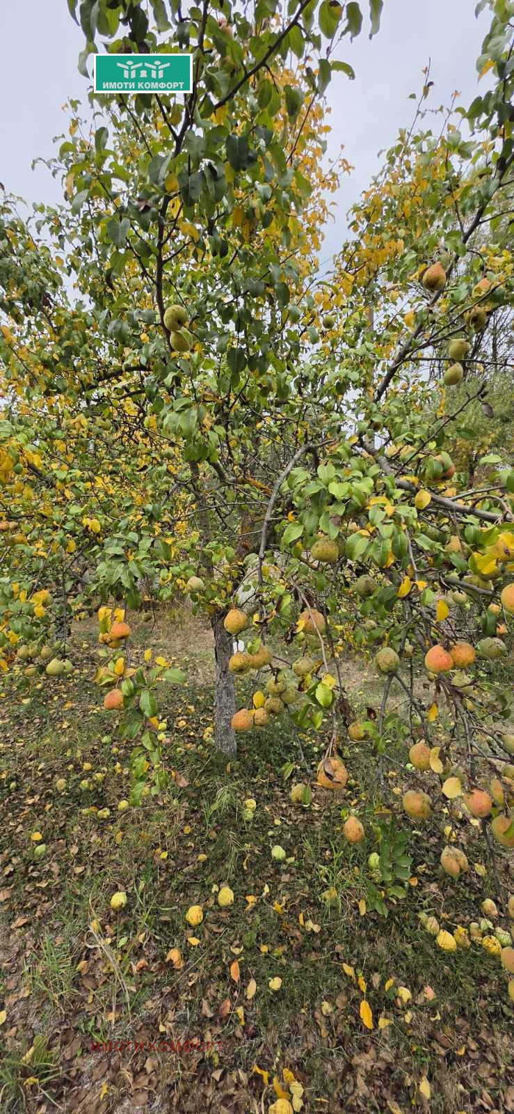 ������� ���� | Imot.bg � ����������� 9