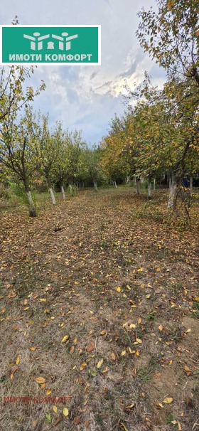 ������� ���� | Imot.bg � ����� ������ 7