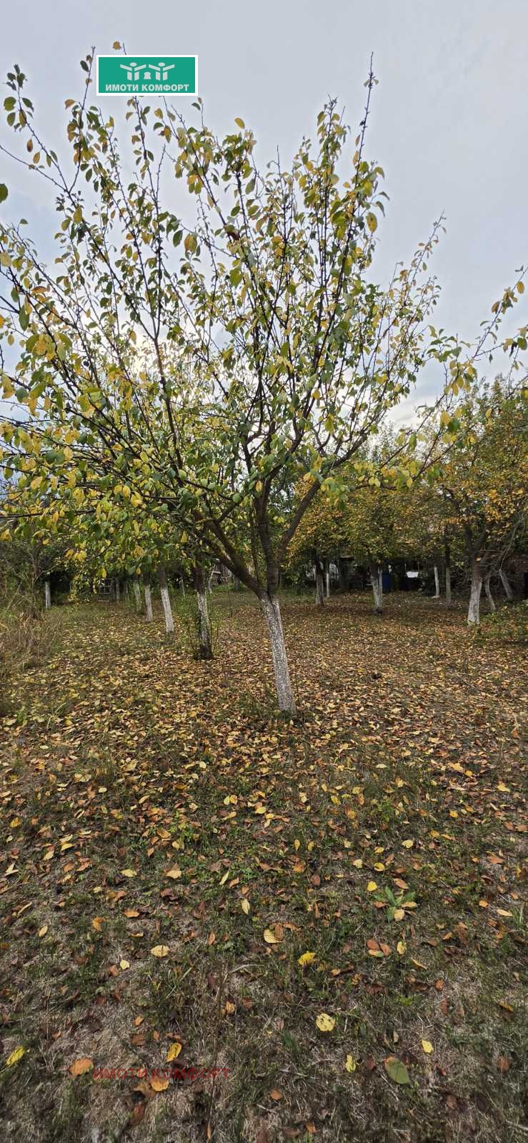 Продава КЪЩА, гр. Роман, област Враца, снимка 8 - Къщи - 56681930