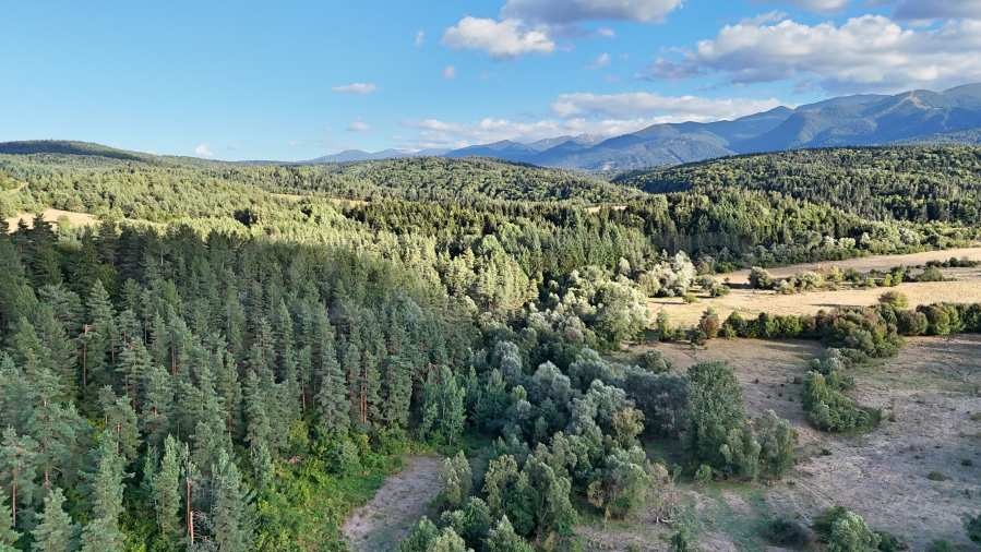 Продава ПАРЦЕЛ, гр. Самоков, област София област, снимка 2 - Парцели - 54632633