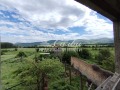 Продава КЪЩА, с. Янково, област Шумен, снимка 5