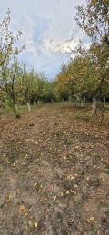 Продава КЪЩА, гр. Роман, област Враца, снимка 7