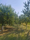 Продава  Къща област Враца , гр. Роман , 120 кв.м | 28536756 - изображение [10]