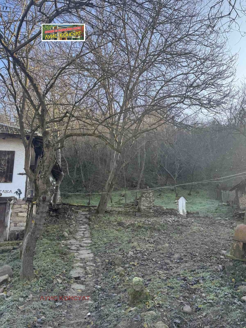 Продава КЪЩА, с. Гаврил Геново, област Монтана, снимка 6 - Къщи - 52799656