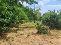Продава КЪЩА, с. Раброво, област Видин, снимка 7