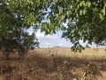 Продава ПАРЦЕЛ, област Хасково, магистрала Марица • 36000 € / 70409.88 лв. • 23870270 9