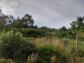 Продава ПАРЦЕЛ, с. Караиванца, област Габрово, снимка 2
