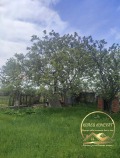 Продава  Къща област Хасково , с. Студена , 90 кв.м | 46718561 - изображение [9]