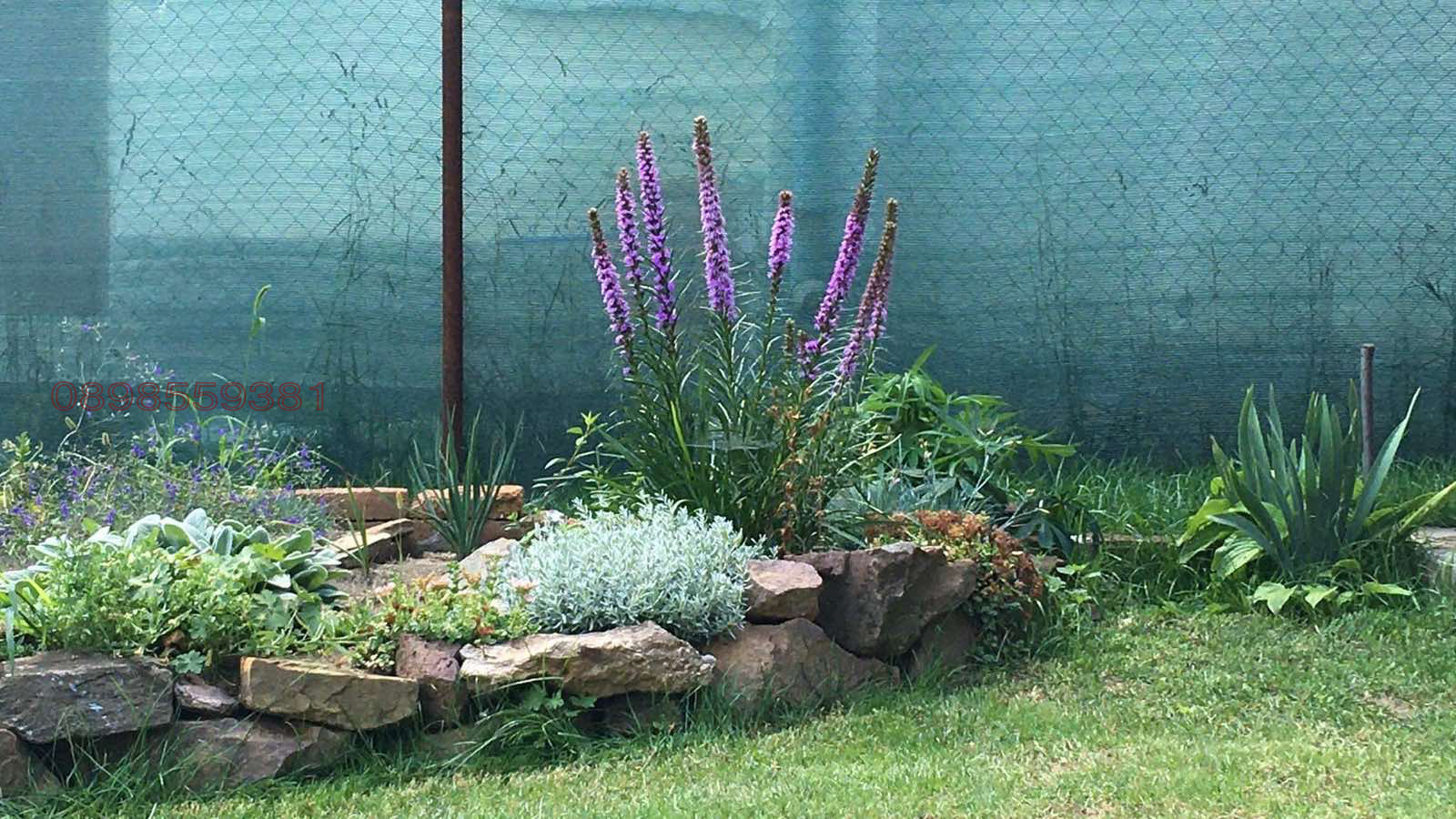 ������� ���� | Imot.bg � ����������� 17