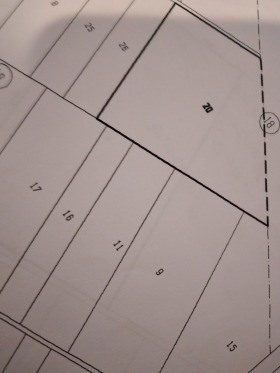 ����� ������� ������,���� �����, ����� 1