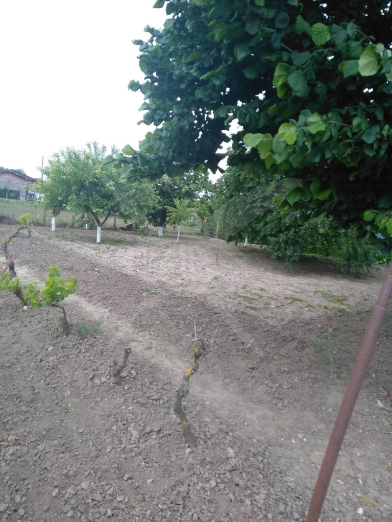 Til salgs  Hus region Dobrich , Paskalevo , 80 kvm | 62224025 - bilde [3]