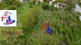 ������ ������� ����