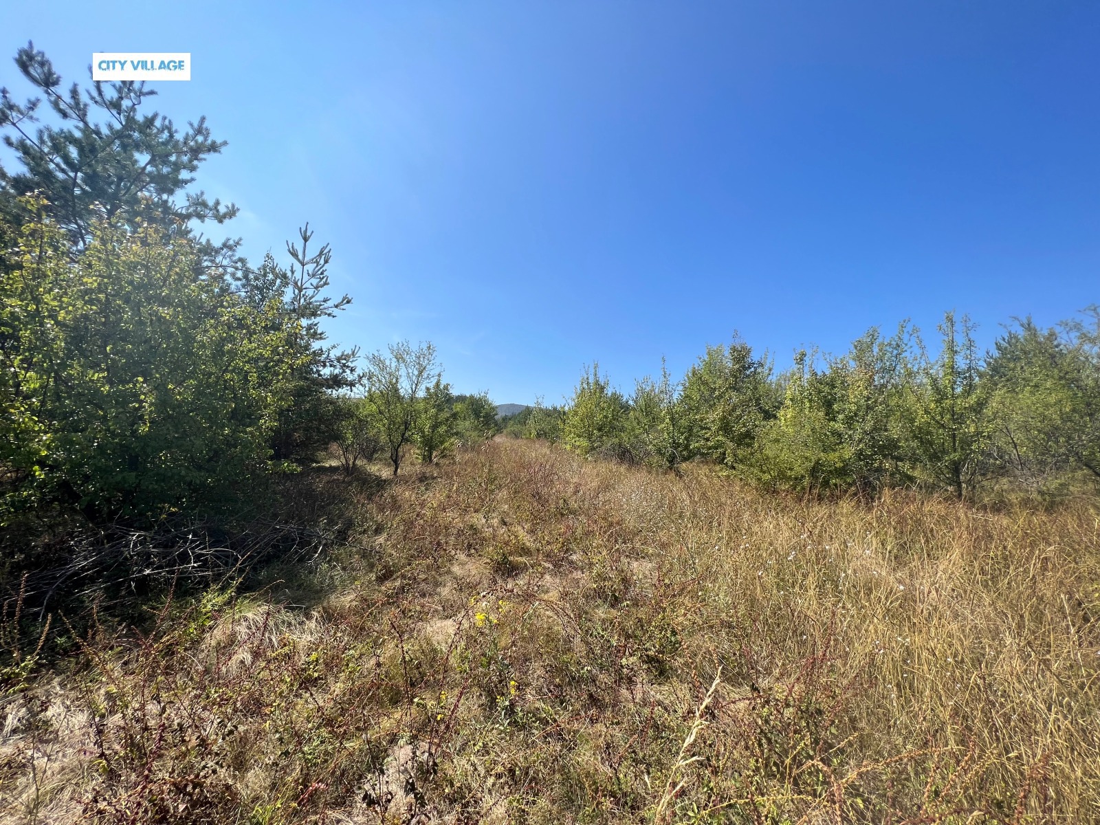 Продава ПАРЦЕЛ, гр. София, гр. Банкя, снимка 2 - Парцели - 47165063