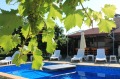Продава КЪЩА, област Варна, с. Близнаци • 379000 € • 24761535 — Holmes.bg