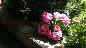   | Imot.bg    9