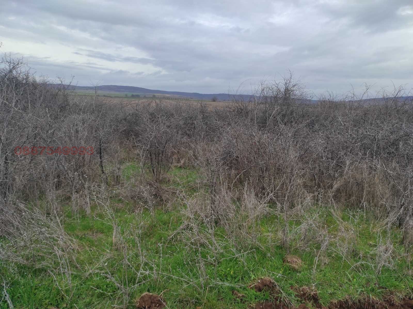 Продава ЗЕМЕДЕЛСКА ЗЕМЯ, с. Рупките, област Стара Загора, снимка 9 - Земеделска земя - 53663319