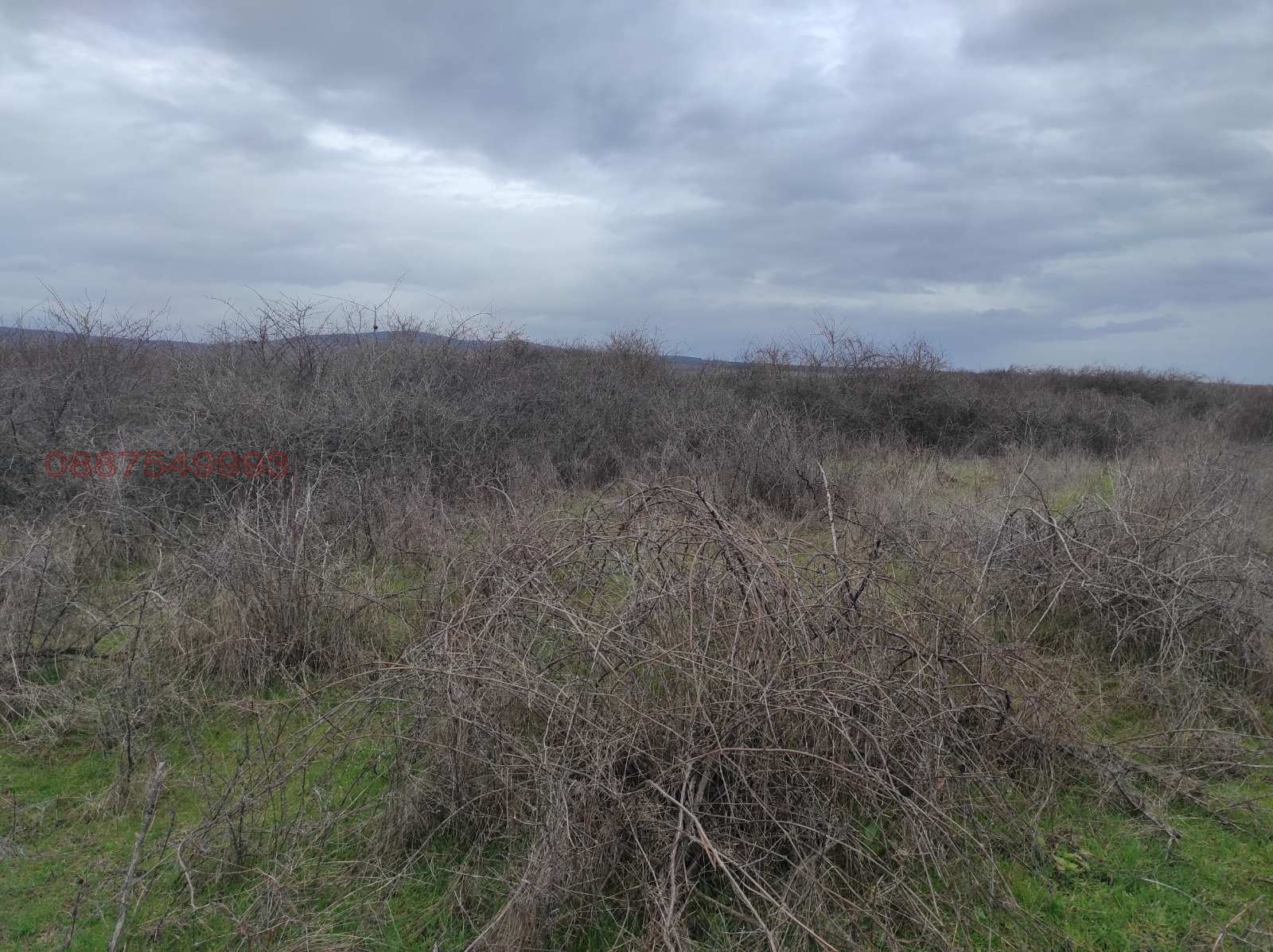 Продава ЗЕМЕДЕЛСКА ЗЕМЯ, с. Рупките, област Стара Загора, снимка 8 - Земеделска земя - 53663319