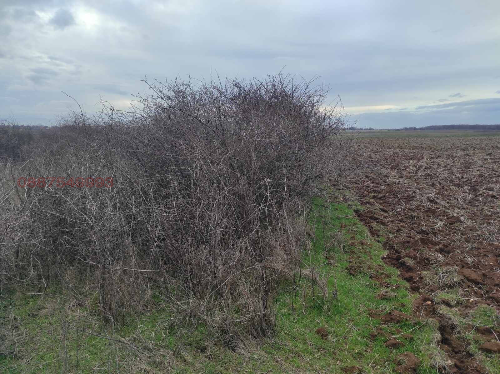 Продава ЗЕМЕДЕЛСКА ЗЕМЯ, с. Рупките, област Стара Загора, снимка 7 - Земеделска земя - 53663319