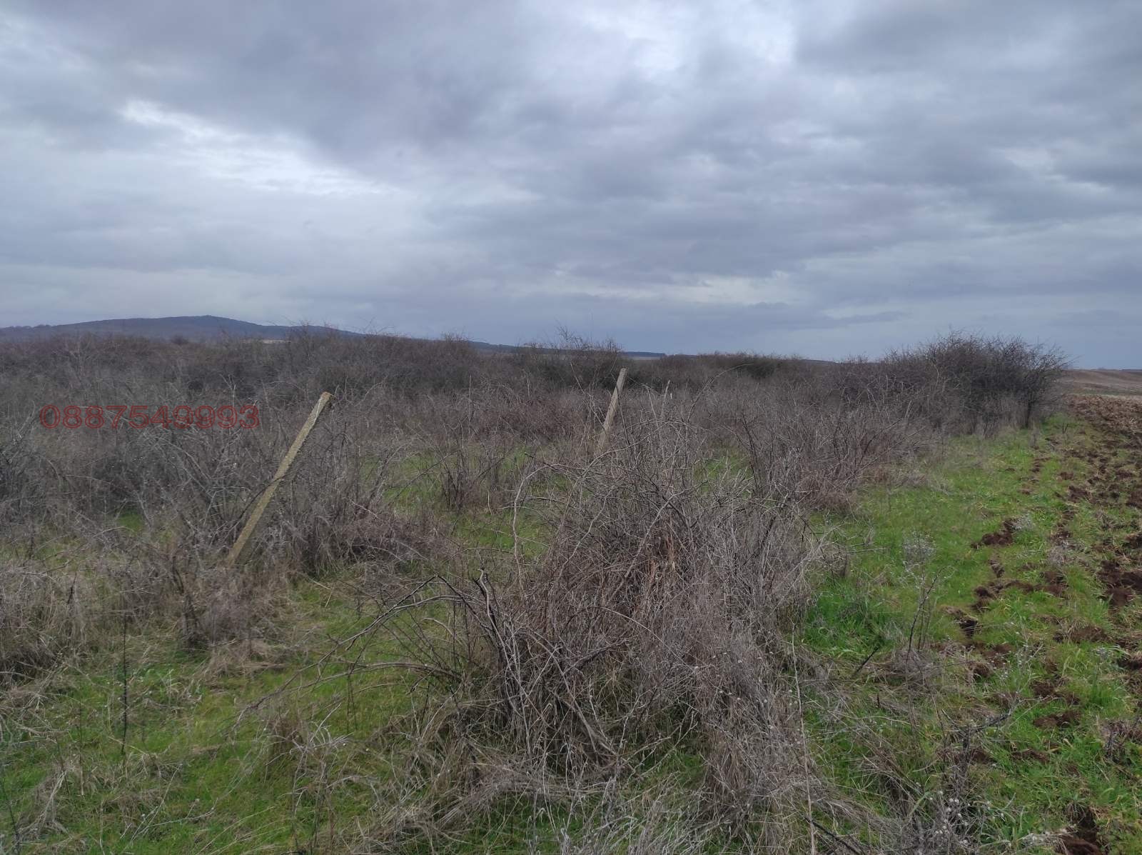 Продава ЗЕМЕДЕЛСКА ЗЕМЯ, с. Рупките, област Стара Загора, снимка 4 - Земеделска земя - 53663319