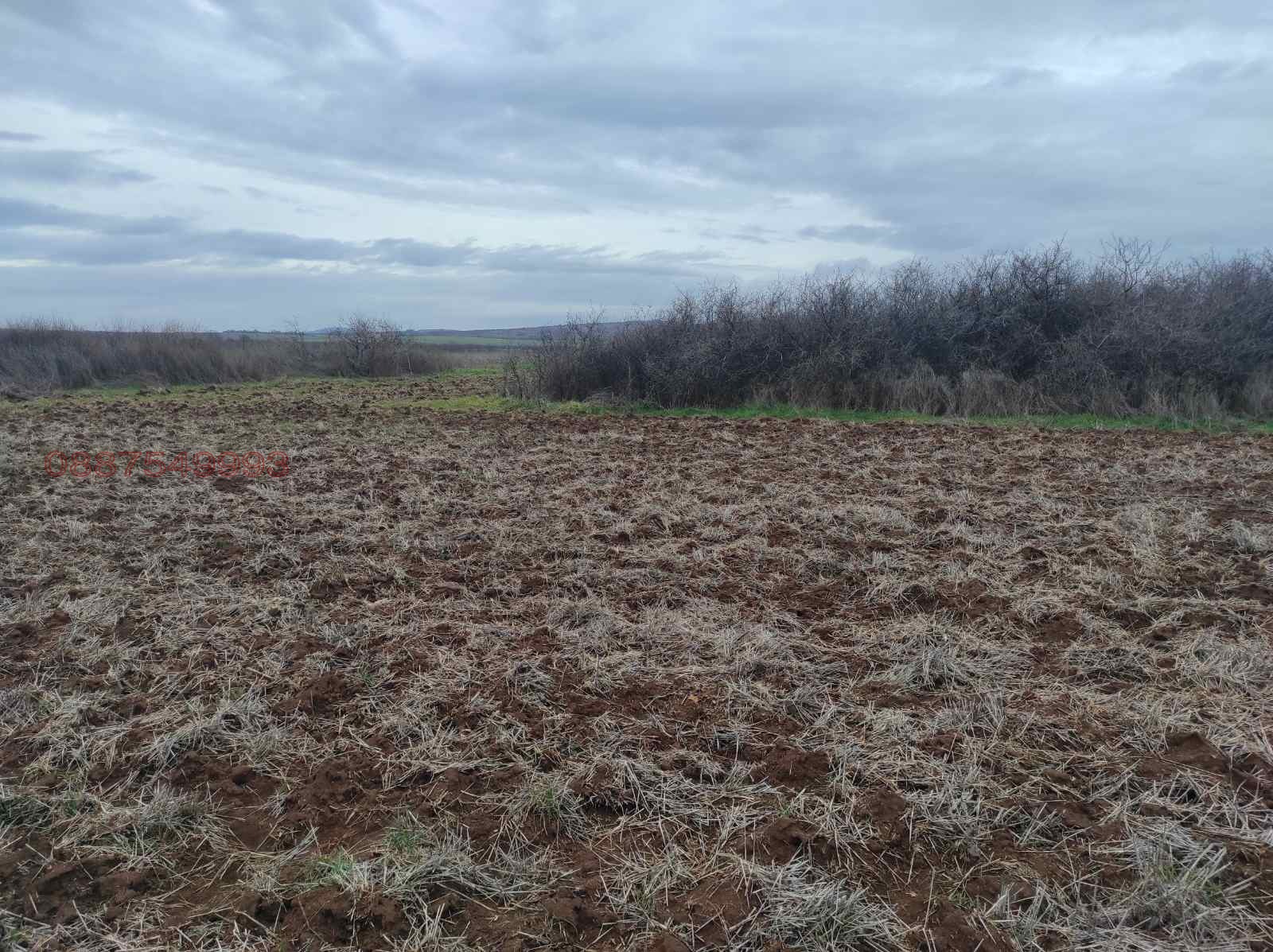 Продава ЗЕМЕДЕЛСКА ЗЕМЯ, с. Рупките, област Стара Загора, снимка 5 - Земеделска земя - 53663319