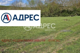 ����� ������� ������,�. ���� ������, ������ ������