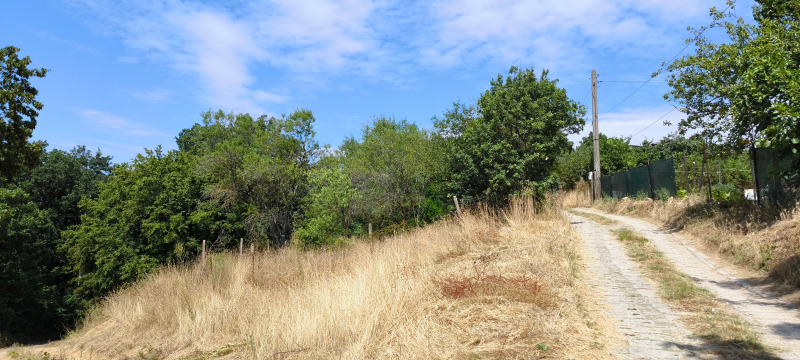 Продава  Парцел, град Варна, м-т Боровец - юг • 76 800 EUR • ID 91419470 — holmes.bg - [1] 
