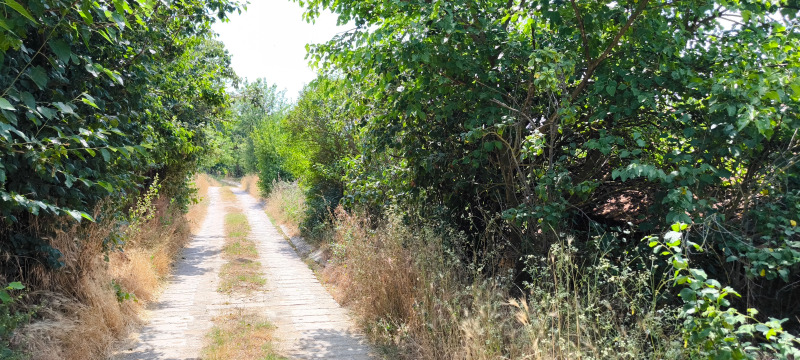 Eladó  Cselekmény Varna , m-t Borovec - jug , 6400 négyzetméter | 65274712 - kép [4]