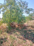 Продава ПАРЦЕЛ, с. Слънчево, област Варна, снимка 4