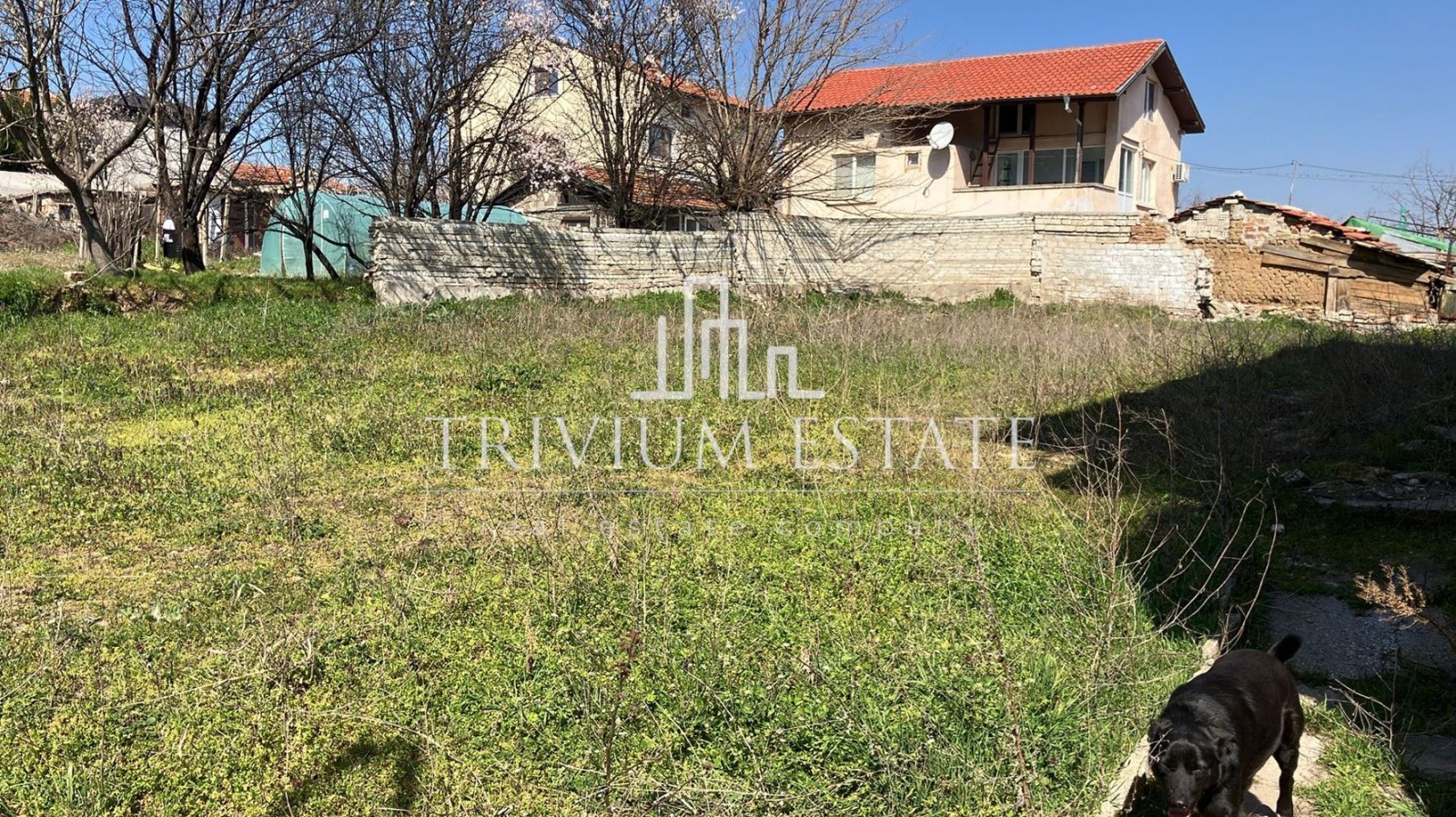 ������� ���� | Imot.bg � ����������� 3