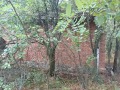 Продава ПАРЦЕЛ, с. Долна Диканя, област Перник, снимка 1