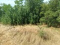 Продава ПАРЦЕЛ, с. Долна Диканя, област Перник, снимка 4