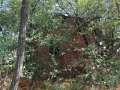 Продава ПАРЦЕЛ, с. Долна Диканя, област Перник, снимка 2