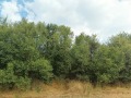 Продава  Парцел област Перник , с. Долна Диканя , 1094 кв.м | 85860649 - изображение [6]