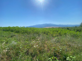 Verhaallijn Dragitsjevo, regio Pernik 1