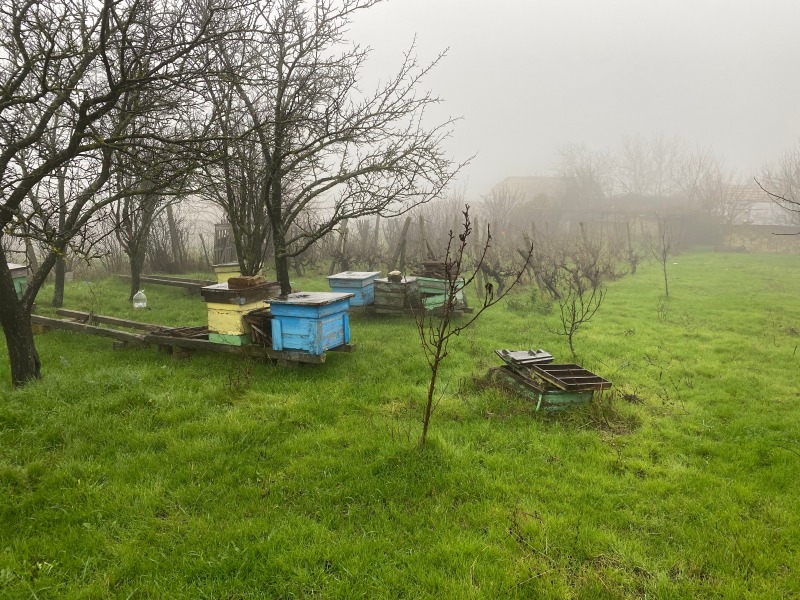 Продава КЪЩА, с. Друмево, област Шумен, снимка 15 - Къщи - 52780652