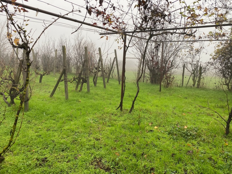 Продава КЪЩА, с. Друмево, област Шумен, снимка 12 - Къщи - 52780652