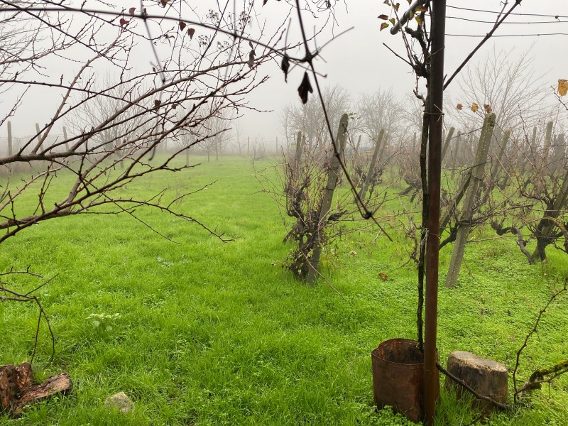 Продава КЪЩА, с. Друмево, област Шумен, снимка 11 - Къщи - 52780652