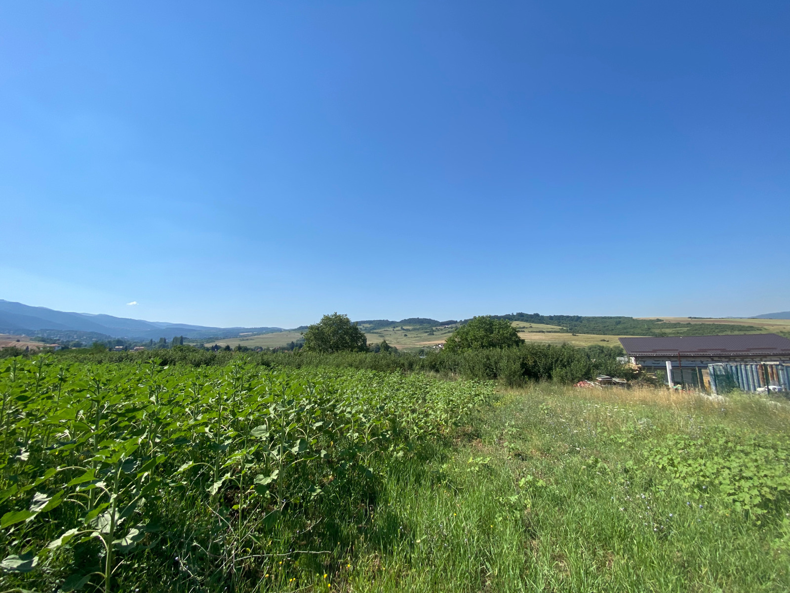 Продава ПАРЦЕЛ, с. Драгичево, област Перник, снимка 2 - Парцели - 52499670