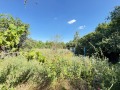 Продава КЪЩА, област Велико Търново, с. Пчелище • 80000 € • 98165703 — Holmes.bg