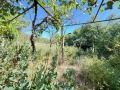 Продава КЪЩА, област Велико Търново, с. Пчелище • 80000 € • 98165703 — Holmes.bg
